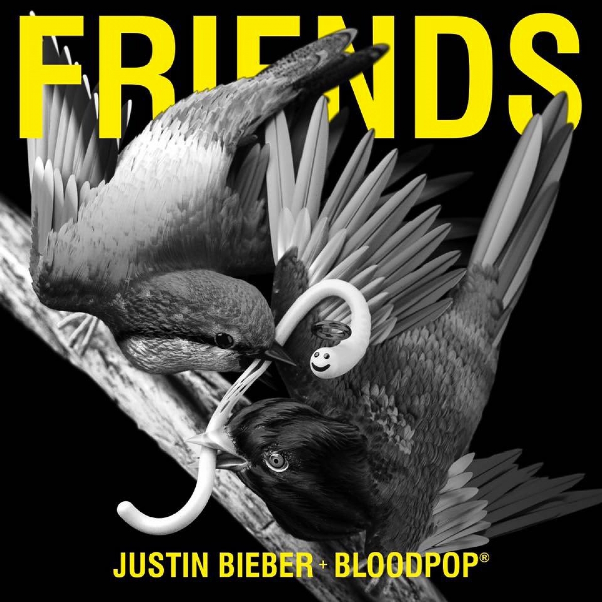 JUSTIN BIEBER - Friends