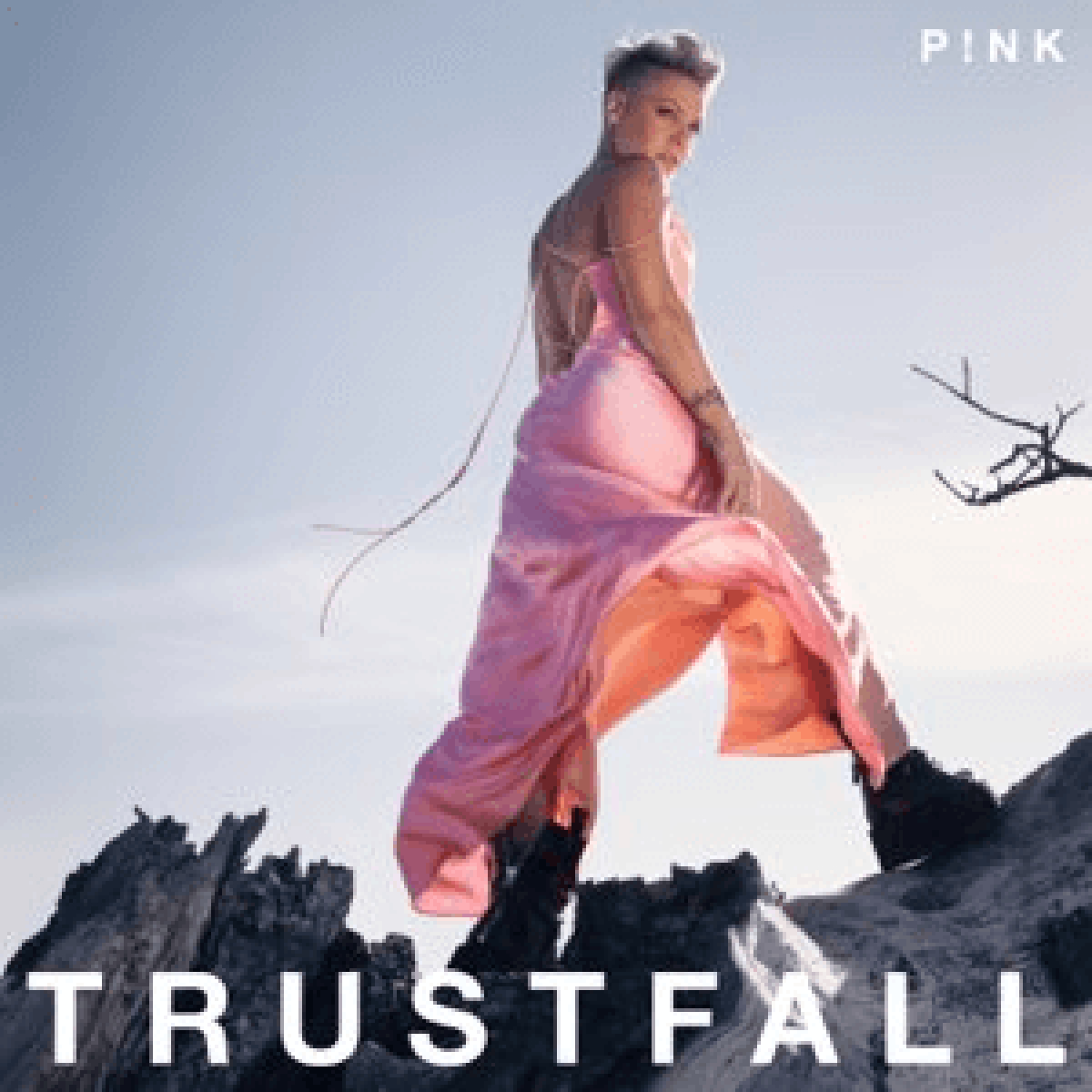 PINK - Trustfall