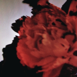 JOHN LEGEND - All Of Me