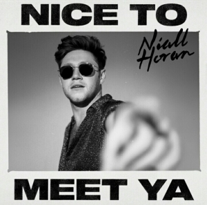 NIALL HORAN - Nice To Meet Ya