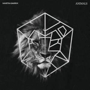 MARTIN GARRIX - Animals
