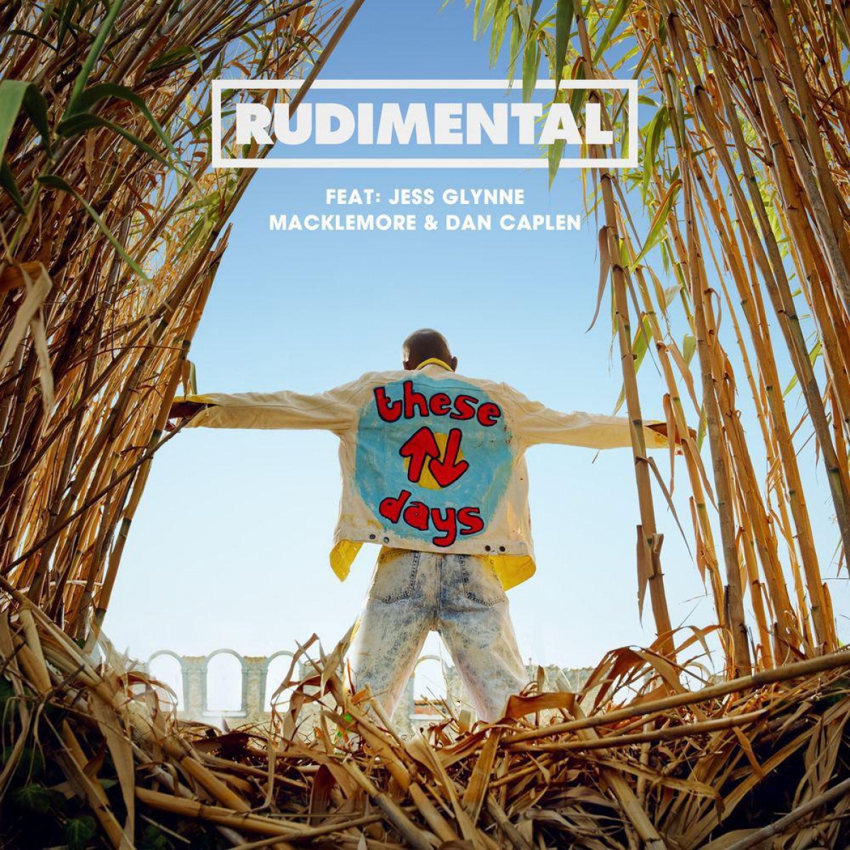 RUDIMENTAL - These Days