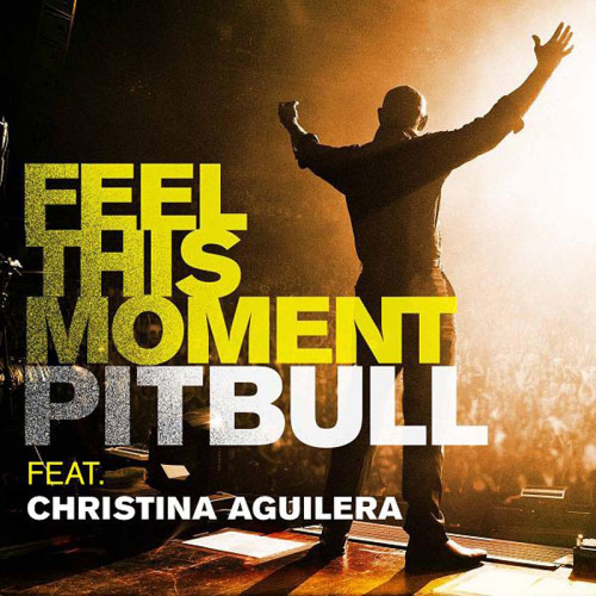 PITBULL - Feel This Moment (feat. Christina Aguilera)