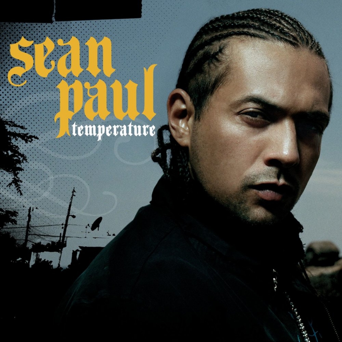 SEAN PAUL - Temperature